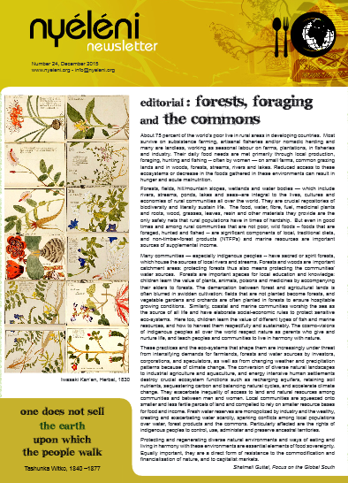 Nyéléni Newsletter 24: Forests, Foraging and the Commons